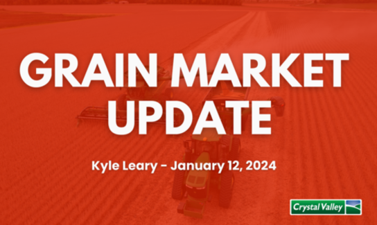 Grain Update 1